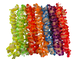 accessoires photobooth 5